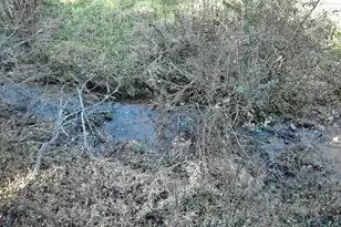 4271 Old Field Creek Rd, Grassy Creek, NC 28631 - Photo 29