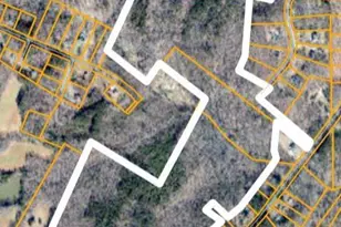 6139 Burlington Rd, Sedalia, NC 27342 - Photo 3