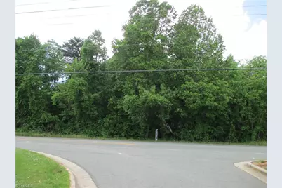 Lot # 2 Nc Highway 119 S, Mebane, NC 27302 - Photo 1