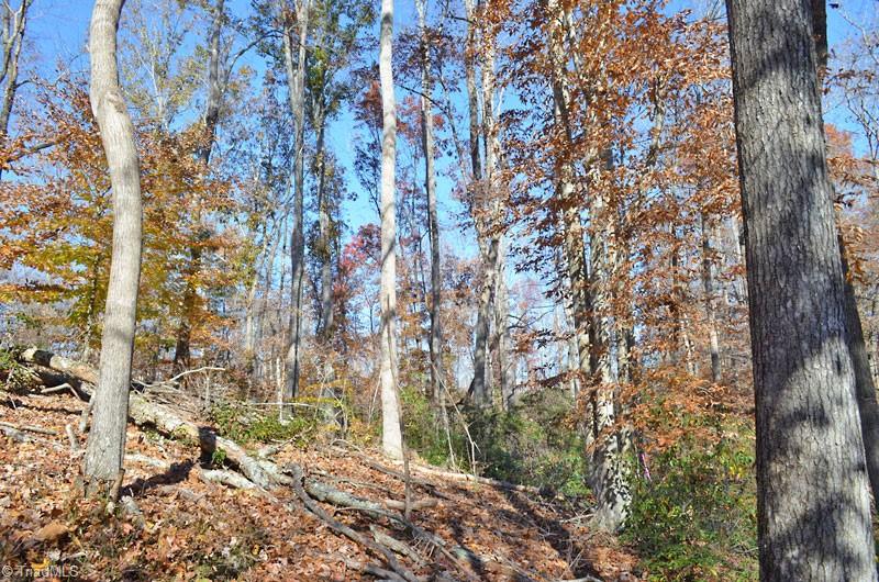 5 Fred Lineberry Rd, Randleman, NC 27317 MLS 1057319 Coldwell Banker