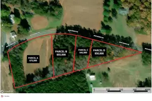 Parcel C Iron Works Rd, Reidsville, NC 27320 - Photo 1