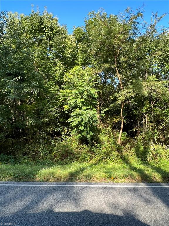 0 Old Mountain Rd, Trinity, NC 27370 MLS 1085259 Coldwell Banker