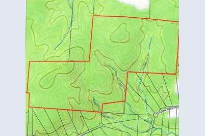 0 Shelton Country Road, Climax, NC 27233 - Photo 1