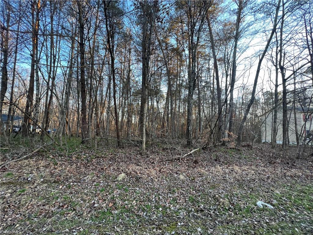Lot 55 Buena Vista Dr, Pilot Mountain, NC 27041 MLS 1095839