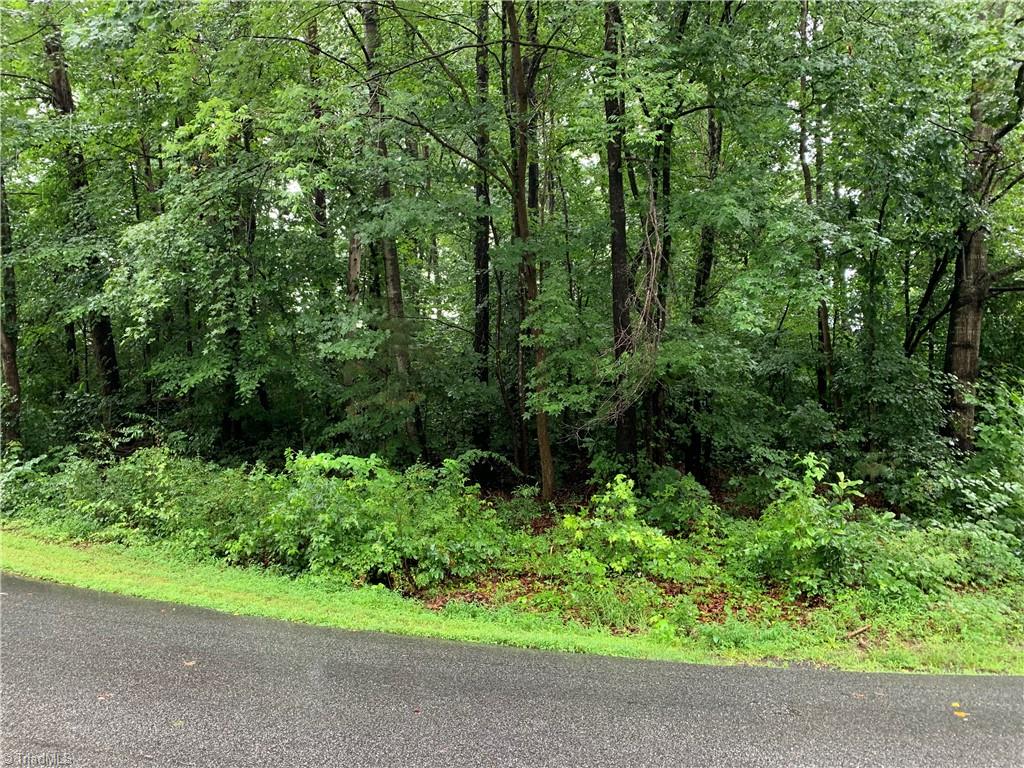 603 Green Tree Dr, Lewisville, NC 27023 - MLS 1111413 - Coldwell Banker