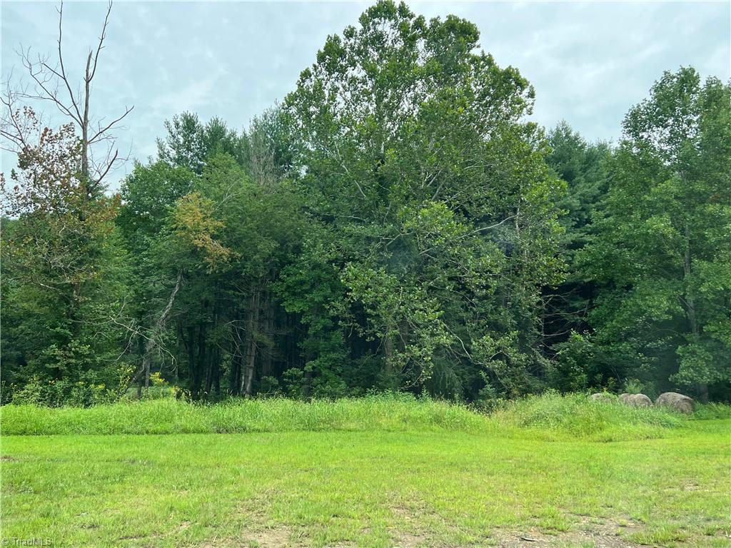 340 Lumber Plant Rd, Lowgap, NC 27024 MLS 1117862 Coldwell Banker