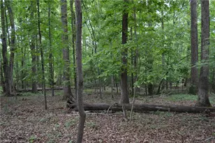 429 Country Club Dr, Stoneville, NC 27048 - Photo 1