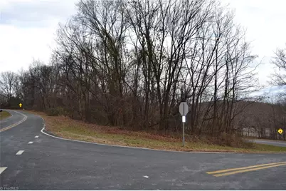 0 Twin Springs Road, Stoneville, NC 27048 - Photo 1