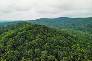 550 Deliverance Baptist Church Rd, Ronda, NC 28670 - Photo 1