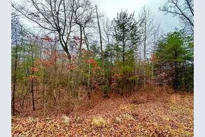 Lot 45 Ridge Run Road, Boomer, NC 28606 - Photo 1