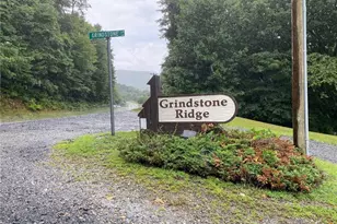 00 Grindstone Ln, Millers Creek, NC 28651 - Photo 1