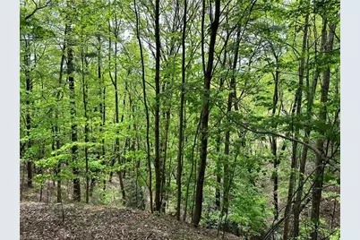 Lot 112 Buck Mountain Road, Purlear, NC 28665 - Photo 1