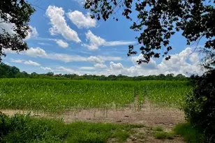 1832 Tysinger Rd, Denton, NC 27239 - Photo 1