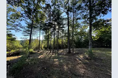 Tbd Brown Berry Road, North Wilkesboro, NC 28659 - Photo 1