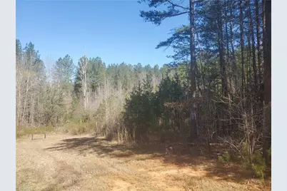 1969 Mulberry Academy Street, Franklinville, NC 27248 - Photo 1