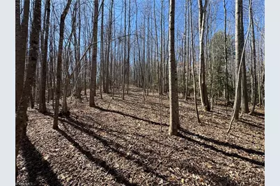 Tbd Old Nc Highway 18, Wilkesboro, NC 28697 - Photo 1