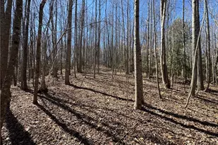 Tbd Old Nc Hwy 18, Wilkesboro, NC 28697 - Photo 1