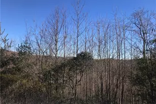 Tbd Fletchers Cove Rd, Purlear, NC 28665 - Photo 1