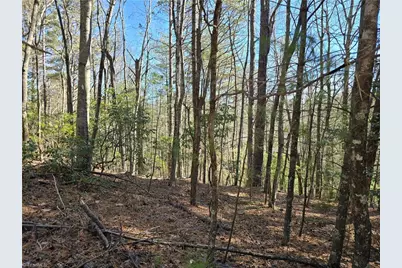 Tbd Timber Ridge Road, Millers Creek, NC 28651 - Photo 1