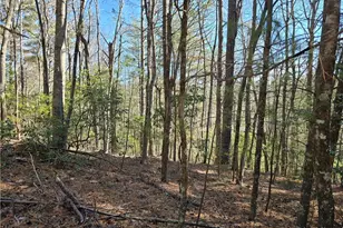 Tbd Timber Ridge Rd, Millers Creek, NC 28651 - Photo 1