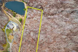 5303 Bass Mountain Rd, Snow Camp, NC 27349 - Photo 1