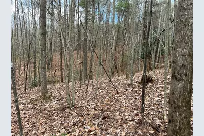 Lot 13 Fisher Valley Road, Dobson, NC 27017 - Photo 1