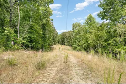 00 Tot Hill Farm Road, Asheboro, NC 27205 - Photo 1