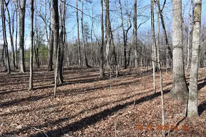 315 Grenham Road, Greensboro, NC 27455 - Photo 1