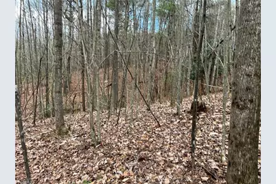 Lot 11 Fisher Valley Road, Dobson, NC 27017 - Photo 1