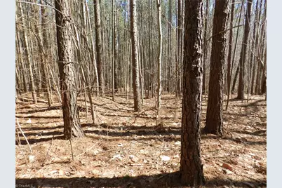 Tbd Oakland Avenue, Asheboro, NC 27205 - Photo 1