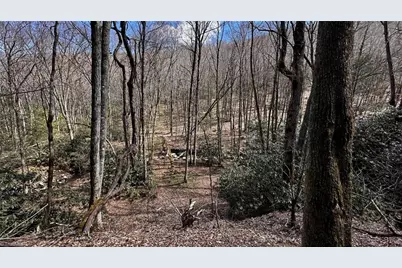 000 Nc Highway 194, Banner Elk, NC 28604 - Photo 1