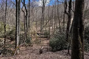 000 Nc Hwy 194, Banner Elk, NC 28604 - Photo 1