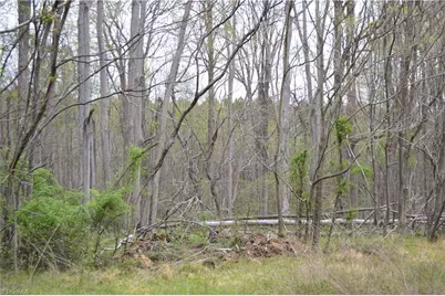 173 Browning Road, Reidsville, NC 27320 - Photo 1