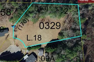 213 Green Walnut St, Traphill, NC 28685 - Photo 1