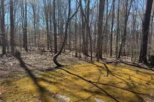 16 89 Ac Auburn St, Reidsville, NC 27320 - Photo 1