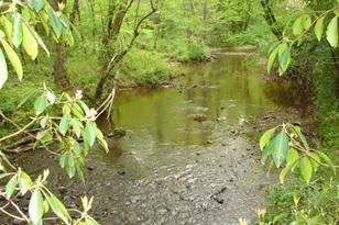 00 Dan Rd, Robbins, NC 27325 - Photo 1