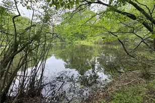 X Green Meadow Ln, Ararat, NC 27007 - Photo 1