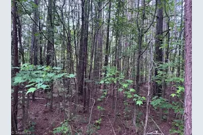 7705 Jackson School Road, Browns Summit, NC 27214 - Photo 1