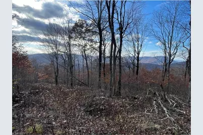 Lot #16 Crown Point Road, West Jefferson, NC 28695 - Photo 1