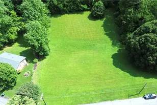 Tbd Pinnix St, Jonesville, NC 28642 - Photo 1