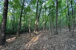 00 Wiley Royal Rd, Traphill, NC 28685 - Photo 1