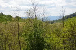 Tbd Ginkgo Dr, Laurel Springs, NC 28644 - Photo 1