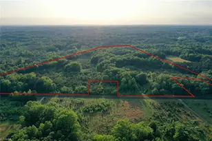 52 79 Acres Atkins Rd, Mebane, NC 27302 - Photo 1