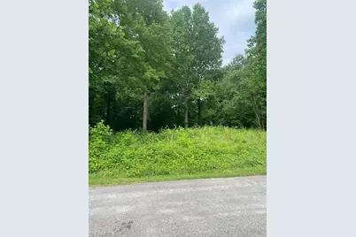 0000 Ward Street, Roaring River, NC 28669 - Photo 1