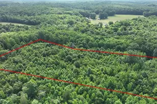 0 Waddells Ferry Rd, Seagrove, NC 27341 - Photo 1