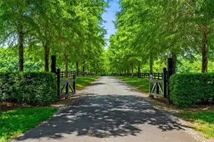 8250 Cummings Dairy Rd, Summerfield, NC 27358 - Photo 1