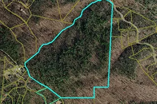 0 Timber Ridge Rd, Millers Creek, NC 28651 - Photo 1