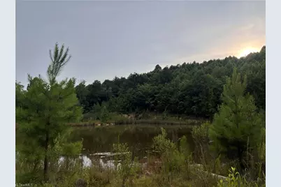 0 Cedar Forest Road, Franklinville, NC 27248 - Photo 1