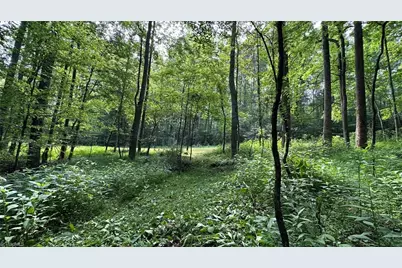 000 Bud West Road, Boomer, NC 28606 - Photo 1