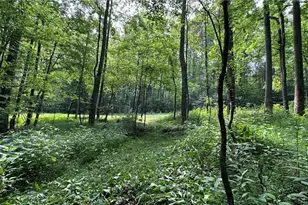 000 Bud West Rd, Boomer, NC 28606 - Photo 1